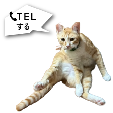 TEL猫